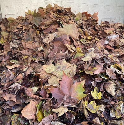 Die Laubbeseitigung bedeutet im Herbst viel Arbeit. (Foto: HEB)