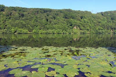 Hengsteysee. (Foto: Michael Kaub/Stadt Hagen)