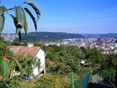 Kleingartenanlage Goldberg. (Foto: Michael Kaub/Stadt Hagen)