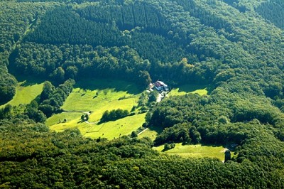 Erholung im Grünen garantieren rund 42 Prozent Waldanteil. (Foto: Hans Blossey)