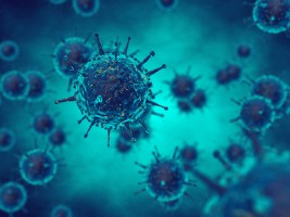 Die Meldezahlen für COVID-19 sind stabil und für RSV leicht ansteigend. (Foto: Nobeastsofierce/shutterstock)